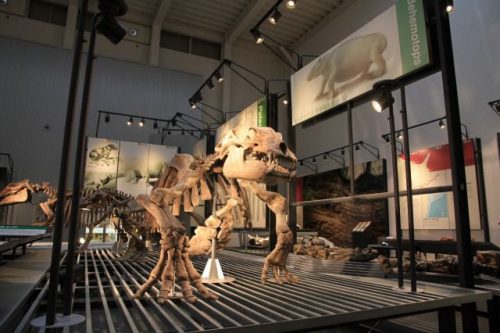 足寄動物化石博物館 北海道足寄町
