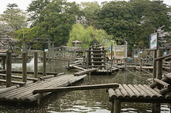 さくら名所100選 一日たっぷり遊べる千葉県野田市 清水公園 で自然と友達になろう 旅行の準備や計画に 観光パンフレットお取り寄せサービス みんたび