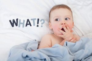 見たら行きたくなったパンフレット３選